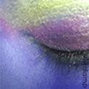 Nocturnal Emissions : Using the Collective Unconcious to Unravel Curious Dreams