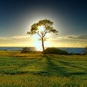 TruthHeap : truth,perspective,tips,sense,sensibility,practicality,exposed,value