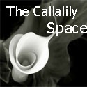 The Callalily Space : 