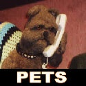 Pets : Watch Pets Episodes