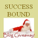 Success Bound : the journey of friends, crafters, designers, artists and moms