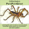 ParisPointGriset : gattogiallo, point of view, photography, my fief, jazz, afrobeat, hip hop, lifestyle, culture, pics, videos, 