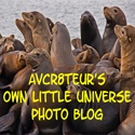 AVCr8teur's Own Little Universe : Photo blog of my travels and my daily encounters.