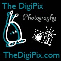 The DigiPix : The DigiPix