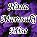 Hana Murasaki Mise : Hana Murasaki Mise