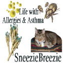 SneezieBreezie : Allergies, Asthma, Arthritis