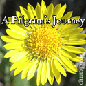 A Pilgrim's Journey : 