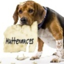 My Mutterances : 