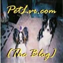 PetLvr.com - [The Blog] : A Website For All Earthlings, Who Love Animals