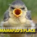 MamaFlo's Place : The changes to my life are more significant now than ever before