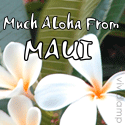 Much Aloha From Maui : 