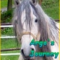 Argo's Journey : 