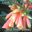 Love, Life, Family...and then some : 