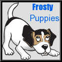 Frosty Puppies : where poems collide