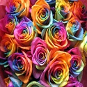 Rainbow Painter Blog : my ramblings on random thoughts
