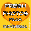 Fresh Photo and Picture from Indonesia : Photos, Picture, Movie, Indonesian
