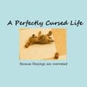 A Perfectly Cursed Life : Because blessings are overrated