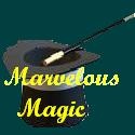 Marvelous Magic : Watch and Learn Magic