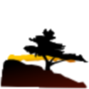 Kossen Genealogy Blog : Genealogy,kossen,history