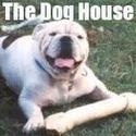 The Dog House : Give a Dog a Bone