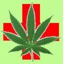 Druutopia : Medical Marijuana