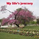 My life's journey : family,vacation,places,travel,life,foods,everything!