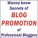 Promote Your Blog : Blog Promotion