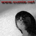 Cumie's Crime : tips blogging, cumie, aide, template
