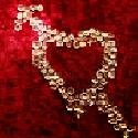 Fall in love : love, relationship, dating, partner, beloved, girlfriend, happy
