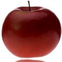 Health News : Learning to Live a Healthy Life