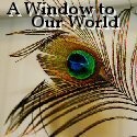 A Window To Our World : parenting,health,cooking,lifestyle,home,product reviews 