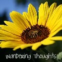 Wandering Thoughts : moving, job hunting, blogging, blog, photos, photography , family, parenting