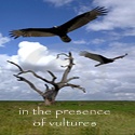 In The Presence of Vultures : The world is full of vultures, waiting to pounce on the decaying society.