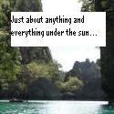 Just about anything and everything under the sun... : 