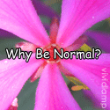 Why Be Normal : Could you define normal please?