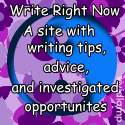 Write Right Now : Writing for Fun and Profit