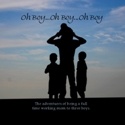 Oh Boy...Oh Boy...Oh Boy : all the fun an excitement of being a full time working mom of three boys