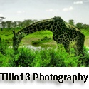 Tillo13 Photography : a photoblog from 'round the world
