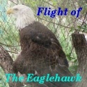 Flight of The Eaglehawk : Day in the Life of The Eaglehawk
