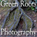 Green Roots Photography : Pacific Northwest Nature Photography