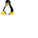 Life is in your hand : tutorial,internet,computer,windows,jaringan,linux,tips