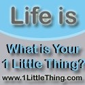 1 Little Thing : Change your life