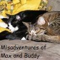 Misadventures of Max & Buddy : 