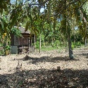 Bob's Blog : 