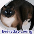 Everyday Living : From Fitness to Fun