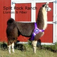 Split Rock Ranch : Llamas, Fiber & Fiber Art