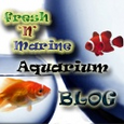 Fresh 'N' Marine Aquarium Blog : freshnmarine, fish, aquarium, reef, freshwater