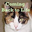 Coming Back to Life : 