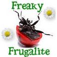 Freaky Frugalite : Because invention is the necessity of motherhood.