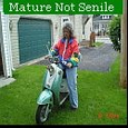 Mature Not Senile : My Observations About Life And Everything Else